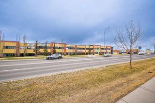 Photo 35: 243 Castlebrook Road NE in Calgary: Castleridge Detached for sale : MLS®# A1246240