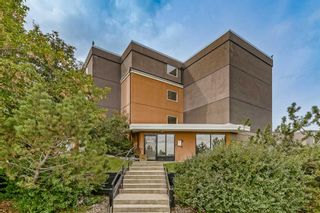 Main Photo: C205 4455 Greenview Drive NE in Calgary: Greenview Apartment for sale : MLS®# A2078224
