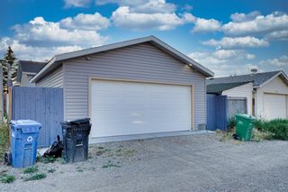Photo 39: 28 Martinview Crescent NE in Calgary: Martindale Detached for sale : MLS®# A1252366