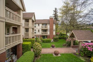 Photo 19: 214 843 22ND Street in West Vancouver: Dundarave Condo for sale in "TUDOR GARDENS" : MLS®# R2528064