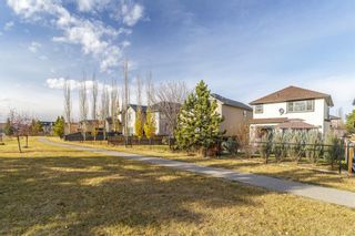 Photo 30: 141 Cranfield Manor SE in Calgary: Cranston Detached for sale : MLS®# A1157518