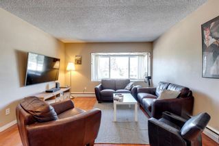 Photo 3: 212 8231 Elbow Drive SW in Calgary: Chinook Park Apartment for sale : MLS®# A1246436