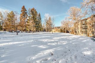 Photo 37: 511 8948 Elbow Drive SW in Calgary: Haysboro Apartment for sale : MLS®# A2019611