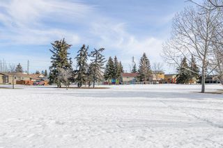 Photo 31: 128 Abbercove Way SE in Calgary: Abbeydale Detached for sale : MLS®# A2024304