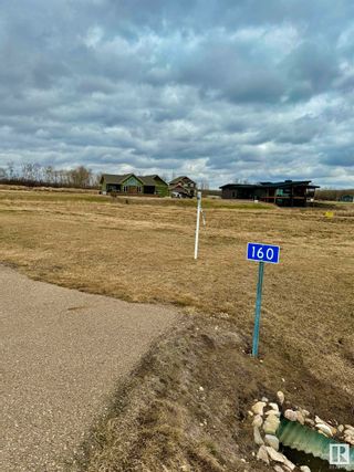 Photo 3: 160 Lakeshore Close: Rural Camrose County Vacant Lot/Land for sale : MLS®# E4375822