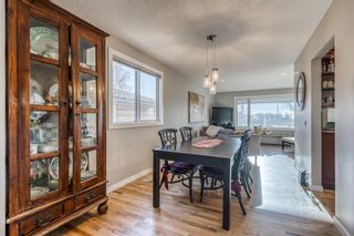 Photo 16: 332 Cantrell Drive SW in Calgary: Canyon Meadows Detached for sale : MLS®# A1164334