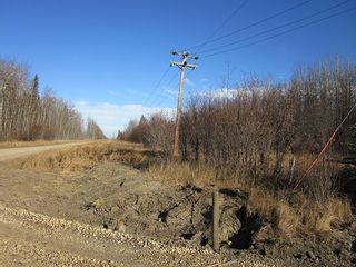 Photo 25: NW 24-54 RR 131: Niton Junction Rural Land for sale (Edson)  : MLS®# 32590