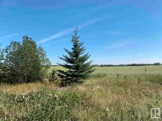Photo 48: 55311 Rge. Rd. 270: Rural Sturgeon County House for sale : MLS®# E4258045