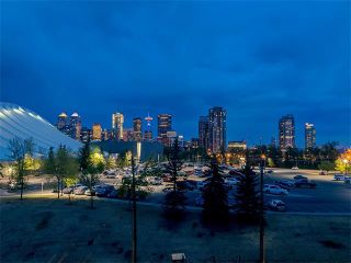 Photo 32: 415 59 22 Avenue SW in Calgary: Erlton Condo for sale : MLS®# C4064383