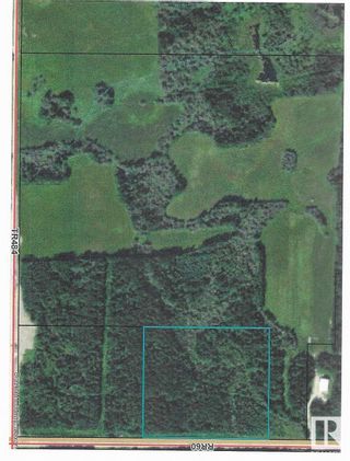Photo 5: Twp 484 RR 60: Rural Brazeau County Vacant Lot/Land for sale : MLS®# E4373381