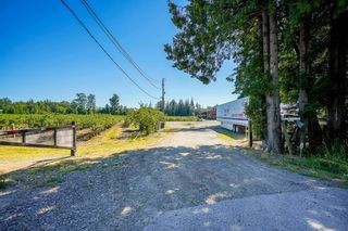 Photo 8: 22926 40 Avenue in Langley: Campbell Valley Agri-Business for sale : MLS®# C8045514