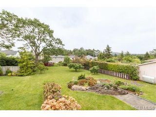 Photo 19: 964 Nicholson St in VICTORIA: SE Lake Hill House for sale (Saanich East)  : MLS®# 732243