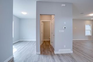 Photo 36: 54 Midtown Crossing SW: Airdrie Detached for sale : MLS®# A2043456