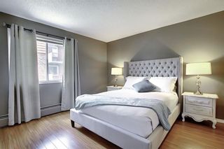 Photo 13: 78D 231 HERITAGE Drive SE in Calgary: Acadia Apartment for sale : MLS®# C4305999