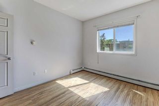 Photo 17: 215 1507 Centre A Street NE in Calgary: Crescent Heights Apartment for sale : MLS®# A2132138