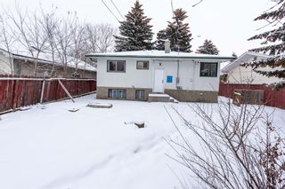 Photo 27: 2027 42 Street SE in Calgary: Forest Lawn Detached for sale : MLS®# A2014734