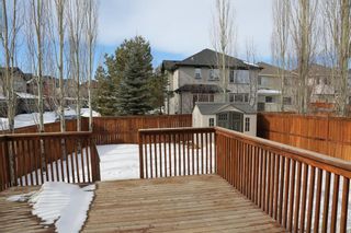 Photo 21: 84 Cranfield Manor SE in Calgary: Cranston Detached for sale : MLS®# A1073442