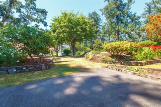 Photo 14: 4188 Bracken Ave in VICTORIA: SE Lake Hill House for sale (Saanich East)  : MLS®# 792670