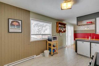 Photo 13: 1628 48 Avenue SW in Calgary: Altadore Detached for sale : MLS®# A2117007