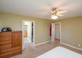 Photo 21: 190 Sagewood Drive SW: Airdrie Detached for sale : MLS®# A1119486