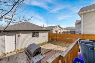 Photo 23: 251 Copperfield Heights SE in Calgary: Copperfield Detached for sale : MLS®# A2123137