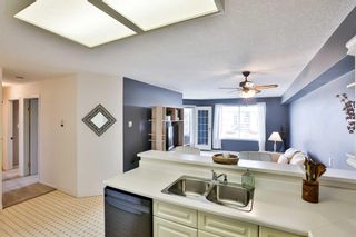 Photo 12: 324 620 Columbia Boulevard: Lethbridge Apartment for sale : MLS®# A2124192