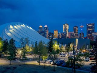 Photo 49: 203 59 22 Avenue SW in Calgary: Erlton Condo for sale : MLS®# C4083258
