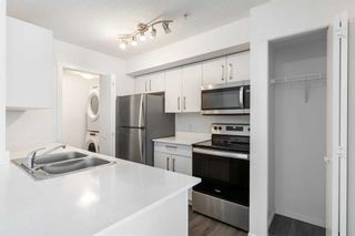 Photo 13: 3213 4641 128 Avenue NE in Calgary: Skyview Ranch Apartment for sale : MLS®# A2079955