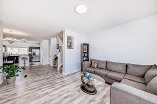 Photo 11: 249 Skyview Ranch Boulevard NE in Calgary: Skyview Ranch Detached for sale : MLS®# A2124901