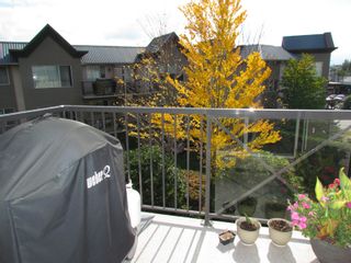 Photo 17: #321 32725 GEORGE FERGUSON WY in ABBOTSFORD: Abbotsford West Condo for rent in "UPTOWN" (Abbotsford) 