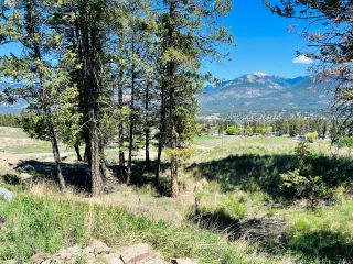 Photo 4: 251 PINETREE ROAD in Invermere: Vacant Land for sale : MLS®# 2469459