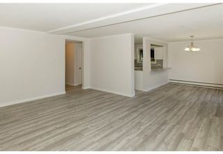 Photo 9: 101 808 Royal Avenue SW in Calgary: Lower Mount Royal Apartment for sale : MLS®# A2050428
