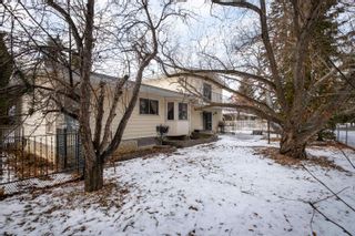 Photo 11: 113 FAIRWAY Drive in Edmonton: Zone 16 House for sale : MLS®# E4271849
