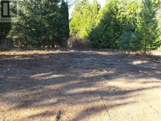Photo 8: 4021 Torry Road in Eagle Bay: Vacant Land for sale : MLS®# 10307672