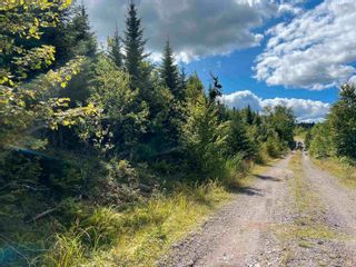 Main Photo: Lot 2 MacLean Road in Hunters Mountain: 209-Victoria County / Baddeck Vacant Land for sale (Cape Breton)  : MLS®# 202317840
