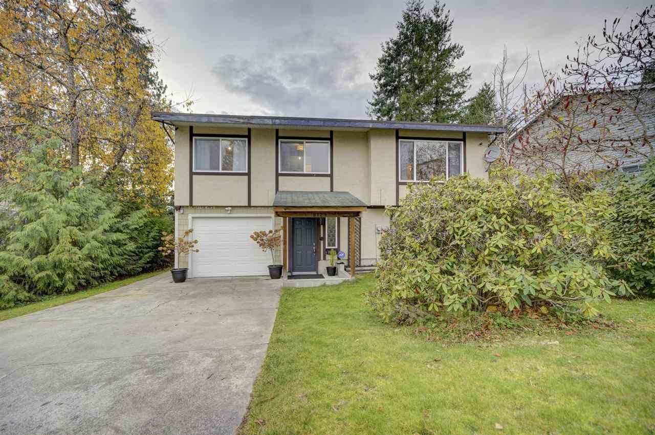 Main Photo: 8129 BOBCAT Drive in Mission: Mission BC House for sale : MLS®# R2420401