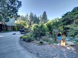 Photo 20: 2595 SYLVAN Drive: Roberts Creek House for sale (Sunshine Coast)  : MLS®# R2481642