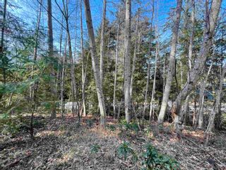 Photo 8: 1545 WHITESAILS Drive: Bowen Island Land for sale in "TUNSTALL BAY" : MLS®# R2758411