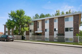 Photo 2: 306 6464 Travois Crescent NW in Calgary: Thorncliffe Apartment for sale : MLS®# A2066912