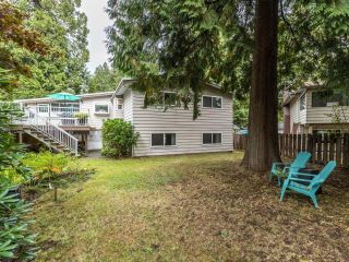 Photo 30: 19680 116B Avenue in Pitt Meadows: South Meadows House for sale in "Wildwood Park" : MLS®# R2622346