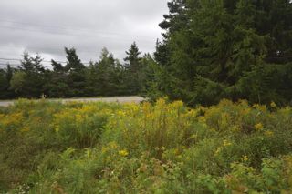 Photo 12: Lot 5 No 12 Highway in Murphy Lake: Kings County Vacant Land for sale (Annapolis Valley)  : MLS®# 202401271