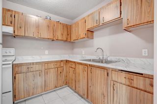 Photo 10: 2 2511 38 Street NE in Calgary: Rundle Row/Townhouse for sale : MLS®# A2053050