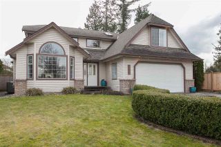 Photo 1: 21702 45 Avenue in Langley: Murrayville House for sale in "MURRYVILLE" : MLS®# R2140289