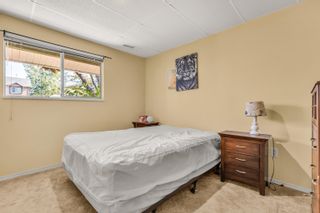 Photo 26: 19064 117A Avenue in Pitt Meadows: Central Meadows House for sale : MLS®# R2712653