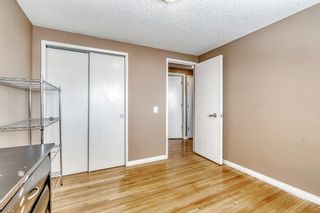 Photo 22: 4220 Maryvale Drive NE in Calgary: Marlborough Detached for sale : MLS®# A2027975