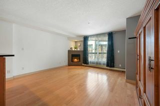 Photo 5: 302 317 19 Avenue SW in Calgary: Mission Apartment for sale : MLS®# A2128598