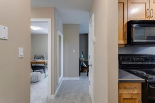 Photo 20: 201 2317 17B Street SW in Calgary: Bankview Apartment for sale