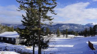 Photo 8: 211 PINETREE ROAD in Invermere: Vacant Land for sale : MLS®# 2470366