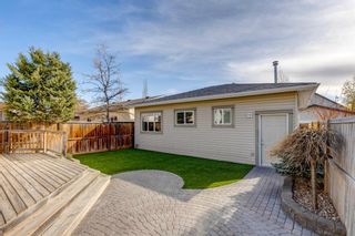 Photo 31: 138 Elgin Drive SE in Calgary: McKenzie Towne Detached for sale : MLS®# A1216902