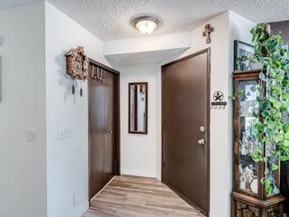 Photo 6: 127 TEMPLEBY Place NE in Calgary: Temple Detached for sale : MLS®# A1210227